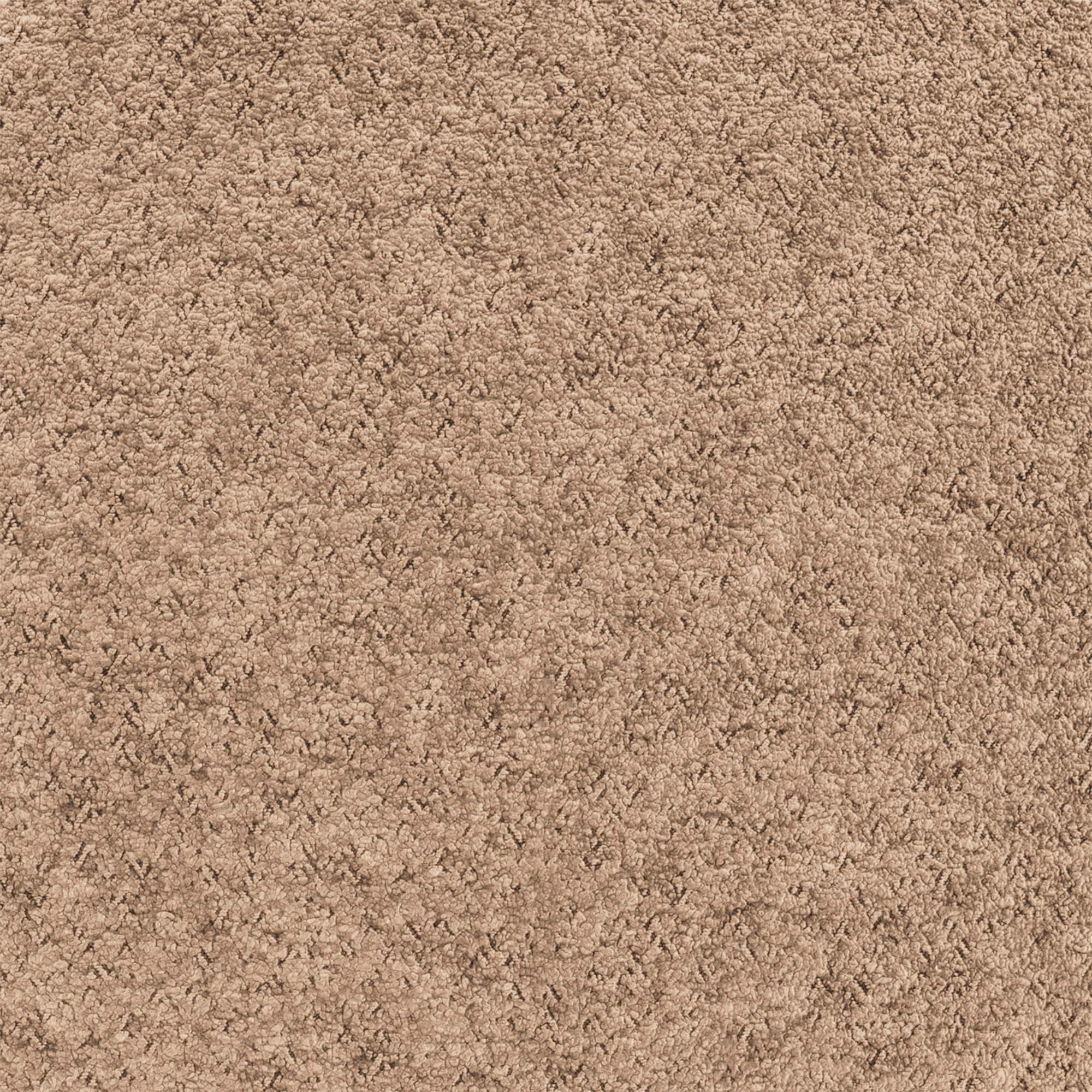Anthologie Dunkelbeige