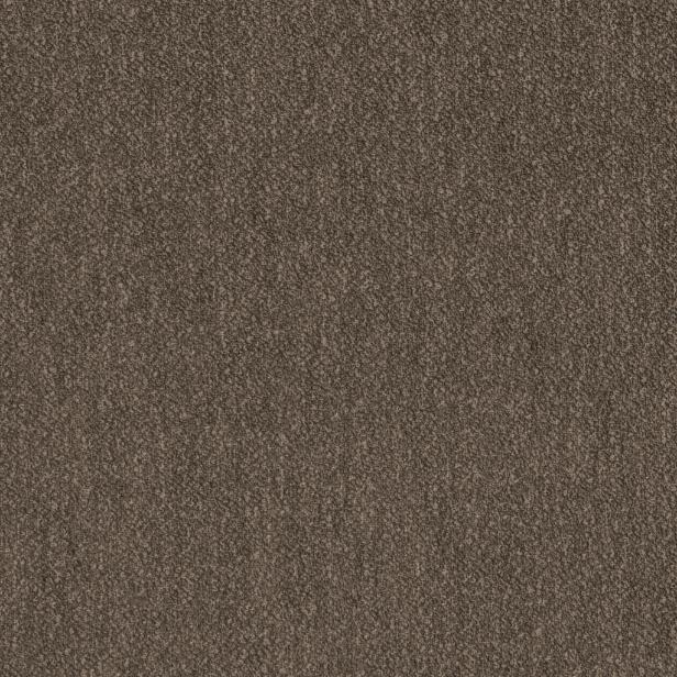 Braun 15