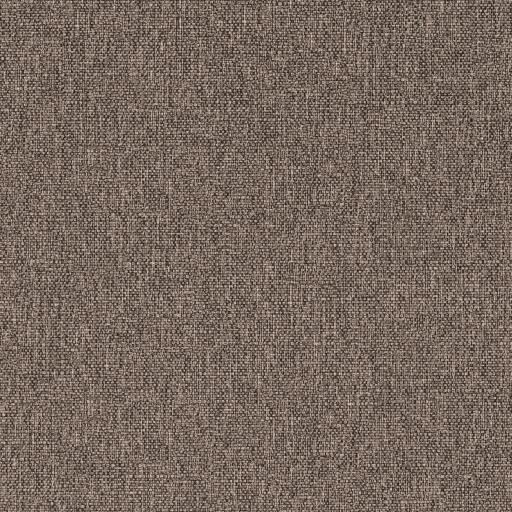 Braun 20