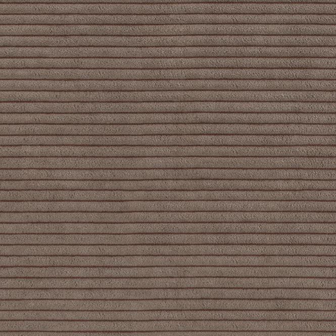 Braun 004