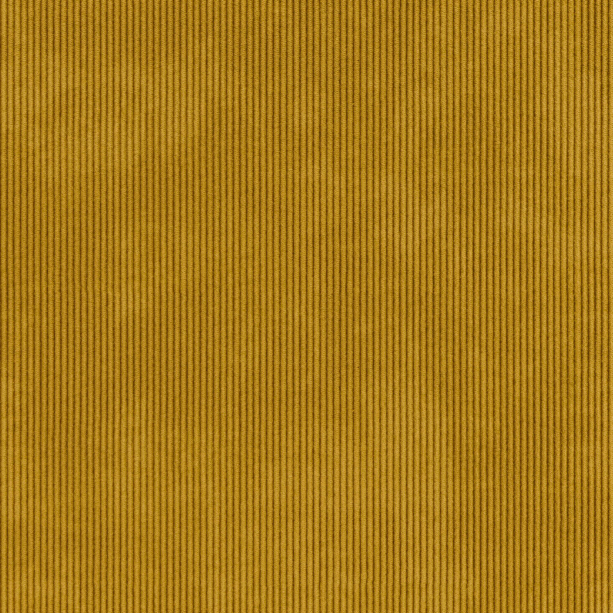 Senf 230