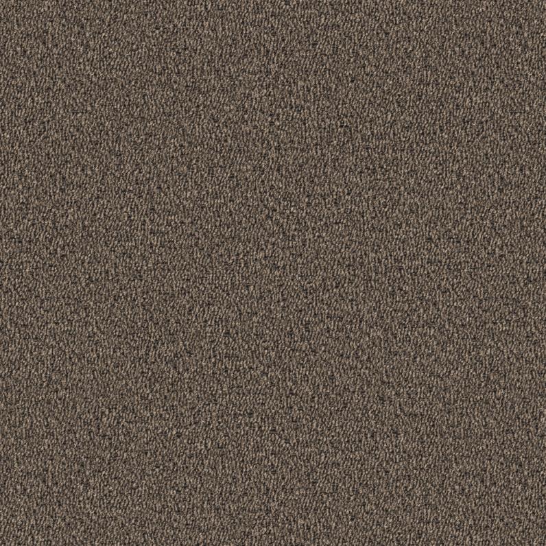 Cona Grau/Beige