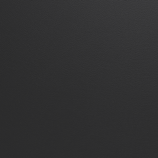 PU-Leder Schwarz – Stoffprobe
